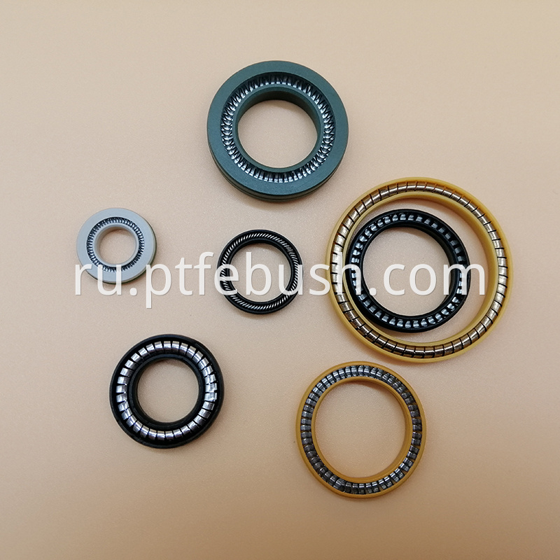 Spring Energized Seal 12